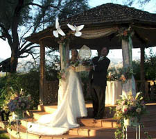 dove release at a wedding